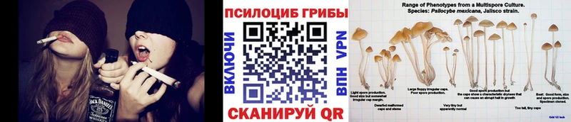 ОМГ ОМГ ссылки  Лебедянь  Псилоцибиновые грибы прущие грибы 